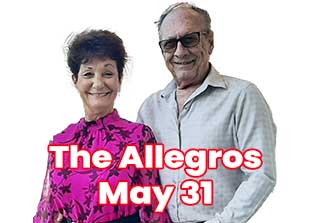 allegros-s31-312x226.jpg
