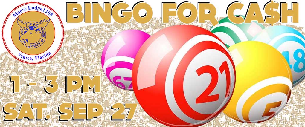 bingo4ca$h